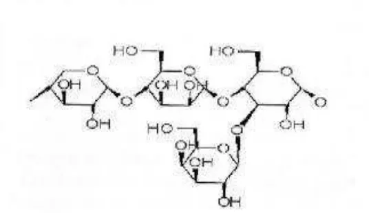 Gambar 1: Struktur selulosa 