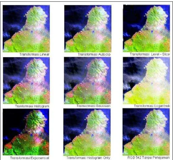 Gambar 9. Variasi Penajaman Spektral Komposit RGB 542 untuk  Penutup/penggunaan Lahan di Daerah Penelitian 