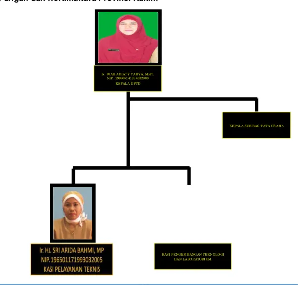 Gambar 1.2. Struktur  Organisasi  
