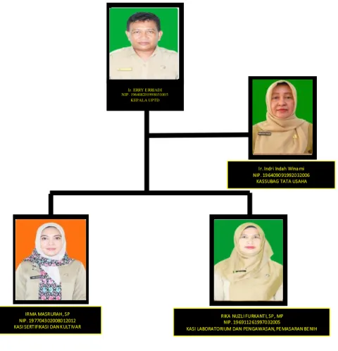 Gambar 1.3. Struktur  Organisasi  