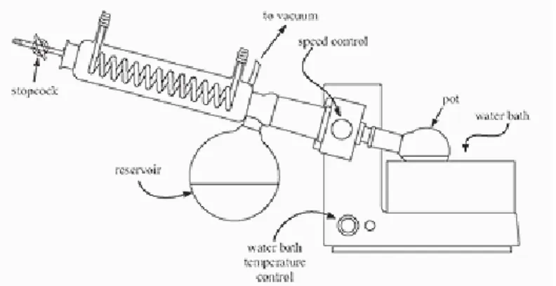 Gambar 6.1. Rotary Evaporator 