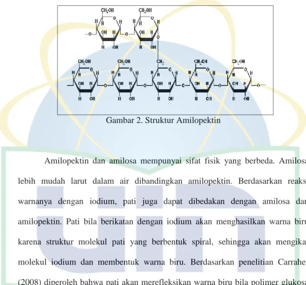 Gambar 2. Struktur Amilopektin 
