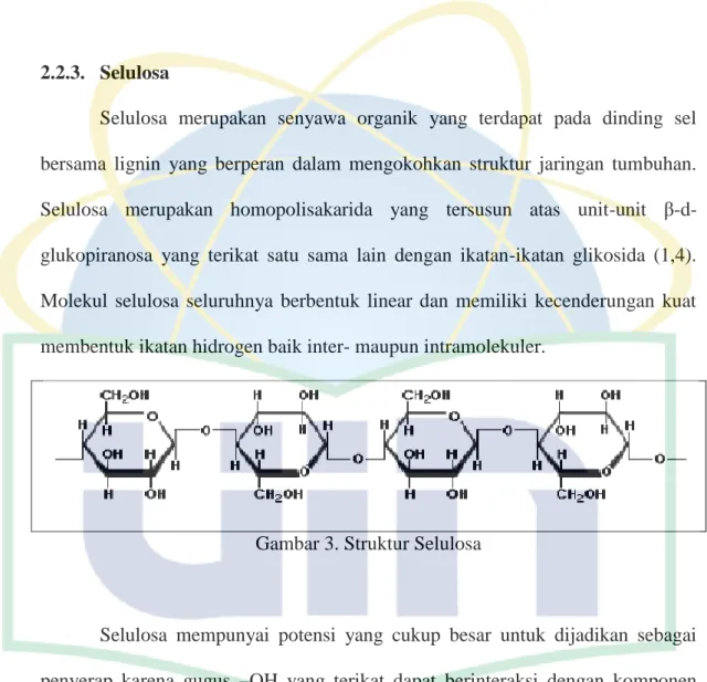 Gambar 3. Struktur Selulosa 