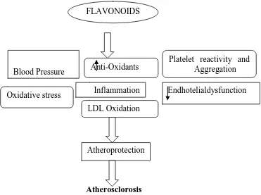 Gambar 4. Mekanisme Kerja Flavonoid Mengurangi Oksidasi LDL (Low Density Lipoprotein) (Rodella dan Ravero, 2013)
