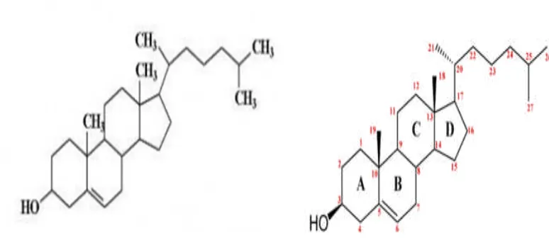 Gambar 3. Struktur Kimia Kolesterol 