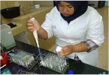 Gambar 7. Pemaangan pipet mikro 