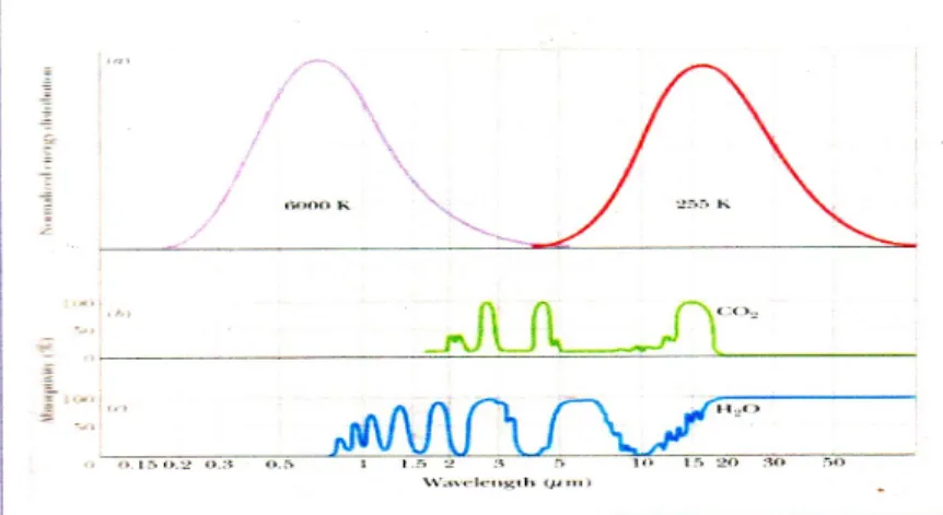 Gambar  2. Absorbsivitas gas H 2 O dan CO 2  masing-masing untuk radiasi gelombang pendek dan  radiasi gelombang panjang ( Levi, 1993) 