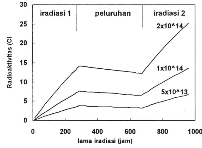 Gambar 5. Hubungan waktu dengan radioaktivitas sumber apabila sasaran seberat 25,5 mg diiradiasi selama 12 hari dengan selang waktu antar iradiasi selama 16 hari