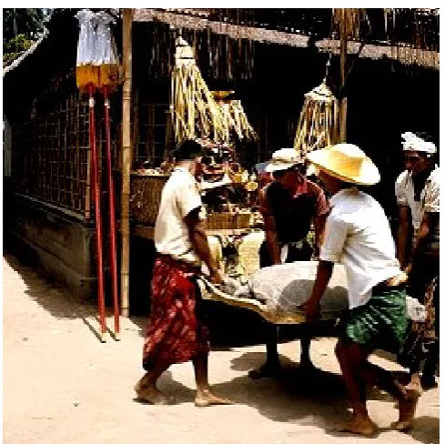 Figure 2. A turtle used as offering in a cremation ceremony  