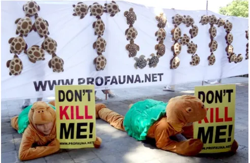 Figure 7. Protests against illegal turtle trade by ProFauna (photo: ProFauna) 