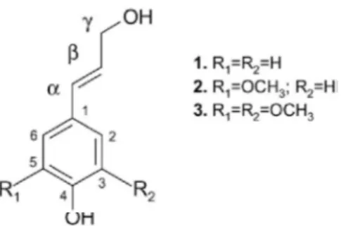 Gambar 3. Kompleks lignin/fenolik-karbohidrat  (modifikasi dari Buranov dan Mazza, 2008) 