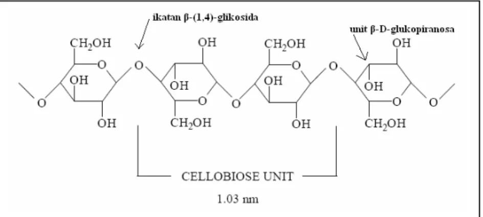 Gambar II.2  Struktur selulosa (Ibrahim, 1998) . 