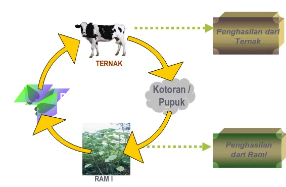Gambar 1. Diagram siklus mixed farming 