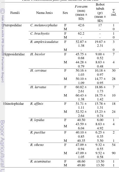 Tabel 8 Morfometrik jenis-jenis kelelawar di HBTBB 