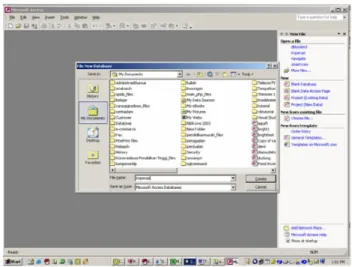 Gambar 2.3 Interface Microsoft Access 2003