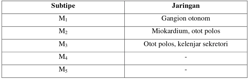 Tabel 2.1 Tipe reseptor muskarinik ( Harahap, dkk., 2015). 