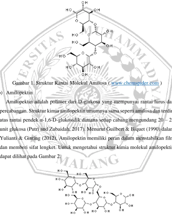 Gambar 1. Struktur Rantai Molekul Amilosa ( www.chemspider.com ) b)  Amilopektin 