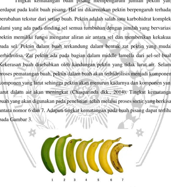 Tabel 3. Komposisi zat gizi dalam kulit pisang per 100 gram bahan 