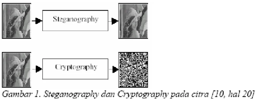 Gambar 2.1 : Steganography dan Cryptogrhapy 