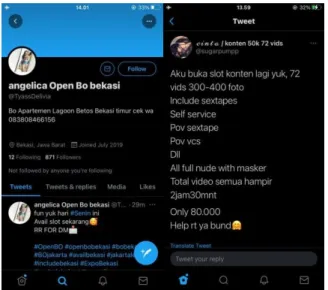 Gambar 3.1 Profile Akun Alter 
