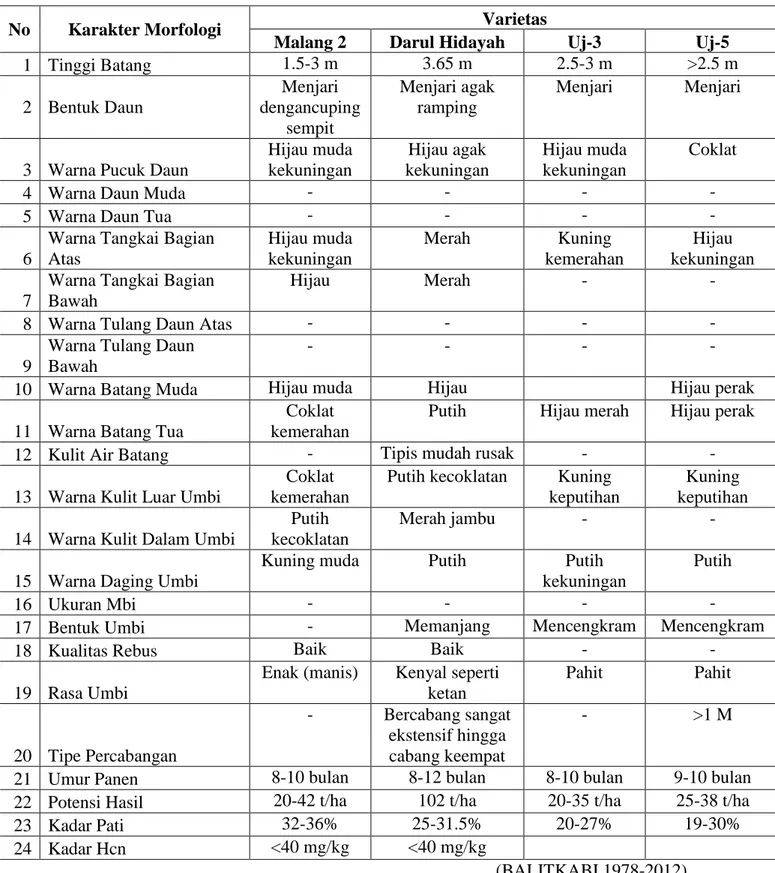 Tabel 2. Deskripsi Singkong Varietas Malang 2, Varietas Darul Hidayah, UJ-3 dan UJ-5 