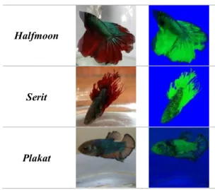 Tabel 1. Preprocessing Result  Spesies 