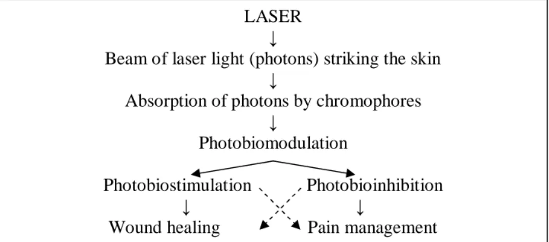 Gambar 1. Skema efek fisiologis dan terapeutik LLLT (Belanger, 2003) LASER 