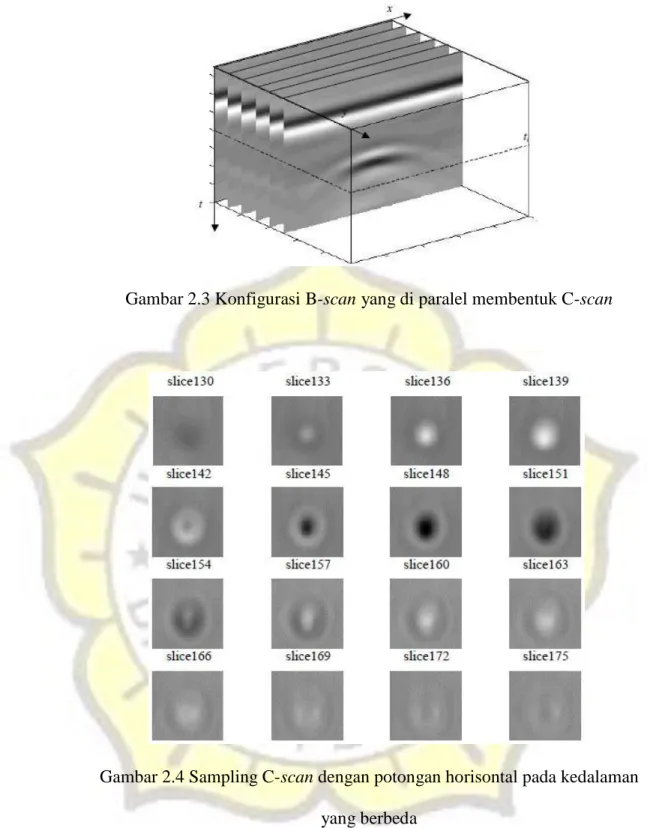 Gambar 2.3 Konfigurasi B-scan yang di paralel membentuk C-scan 