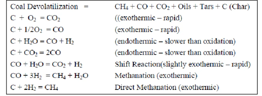 Gambar 1.4   Reaksi Dasar pada Proses Gasifikasi Batubra (Holt, 2004) 