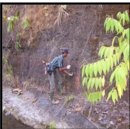 Foto 3 Singkapan Batubara ,Lapisan Batubara Terdapat Pada Bagian Bawah Dibawah  Batupasir, Batu Lanau Dan Batulempung 