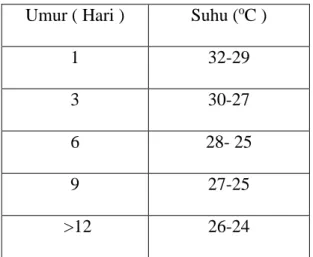 Tabel 2.1. Suhu yang nyaman bagi ayam  Umur ( Hari )  Suhu ( o C ) 