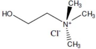 Gambar 2.2 Struktur Choline Chloride (HydroxyethyltrimethylammoniumChloride) [30]