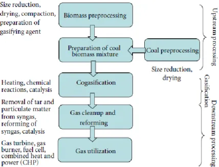 Gambar 1.5. Urutan Proses untuk Coal-Biomass Gasification  (J.S. Brar, et al., 2012) 