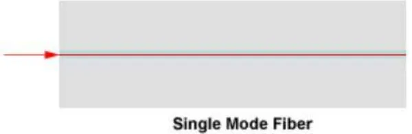 Gambar 2.4 Serat Optik Single-mode index 