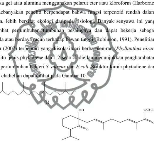 Gambar 10. Struktur senyawa (i) phytadiene dan (ii) 1, 2-seco-cladiellan      (Gunawan, 2007) 