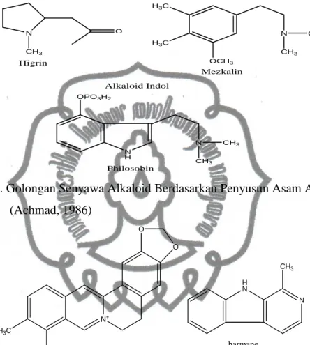 Gambar 11. Golongan Senyawa Alkaloid Berdasarkan Penyusun Asam Aminonya  (Achmad, 1986)  N + HN NOOCH3 H 3 C