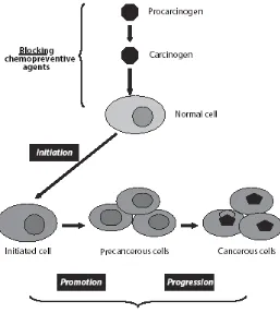 Gambar 2.2  Multitahap karsinogenesis (Tsao, et al., 2004). 