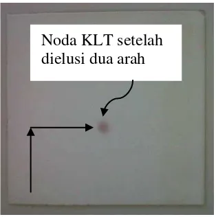 Gambar 4.8                                  Kromatogram KLT dua arah isolat KL I 