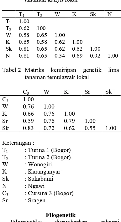 Tabel 1 Matriks kemiripan genetik enam tanaman kunyit lokal  