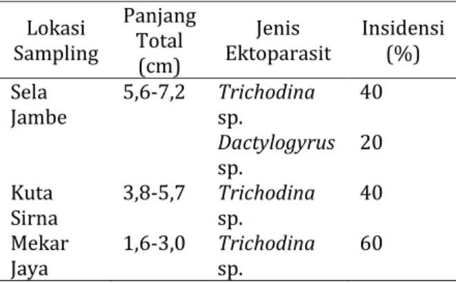Tabel	 1.	 Jenis	 ektoparasit	 dan	 insidensinya	 (%)	 pada	 benih	 ikan	 nilem	 di	 Kecamatan	 Cisaat,	Kabupaten	Sukabumi	 Lokasi	 Sampling	 Panjang	Total	 (cm)	 Jenis	 Ektoparasit	 Insidensi	(%)	 Sela	 Jambe	 5,6‐7,2 Trichodina	sp.	 40 Dactylogyrus	 sp.	