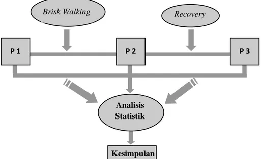 Gambar  1. Bagan rancangan penelitian. Keterangan: P 1= Pre-test; P 2= Post test I; P 3 = Post test  II (post recovery 30 menit)