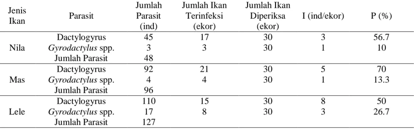 Tabel  2.  Hasil  perhitungan  intensitas  dan  prevalensi  monogenea  pada  ikan  nila  (O