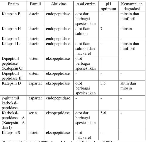Tabel 3. Enzim proteolitik yang berhubungan dengan lisosom otot ikan  Enzim  Famili  Aktivitas  Asal enzim  pH 