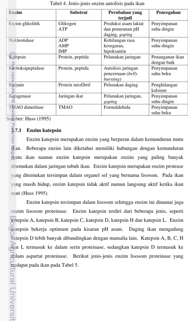 Tabel 4. Jenis-jenis enzim autolisis pada ikan 