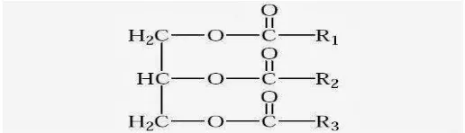 Gambar 1. Struktur Lemak 