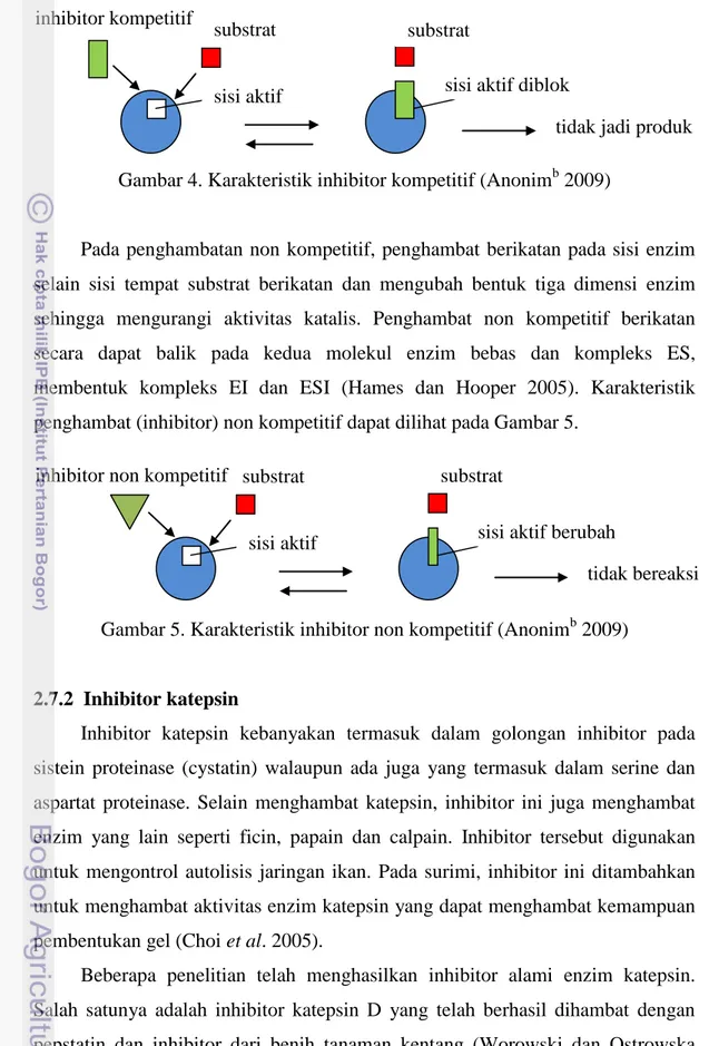 Gambar 4. Karakteristik inhibitor kompetitif (Anonim b  2009) 