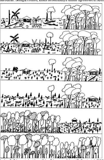 Gambar 7.  Tahapan terbentuknya  Kebun Pekarangan di Jawa (De Foresta et al., 2000)