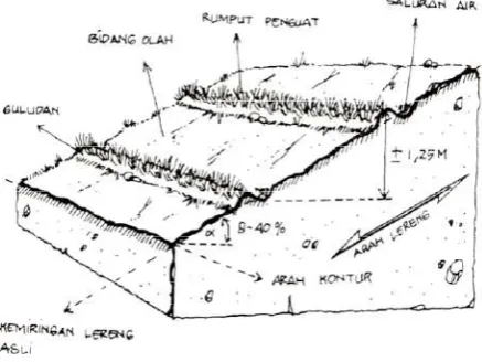 Gambar 7.  Teras Datar 