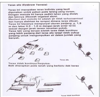 Gambar 12.  Teras Individu 