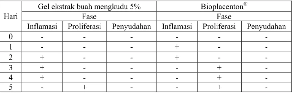 Tabel 4.5 Proses penyembuhan luka bakar dari gel ekstrak buah mengkudu 5%  dan sediaan gel di pasaran (Bioplacenton ® ) 